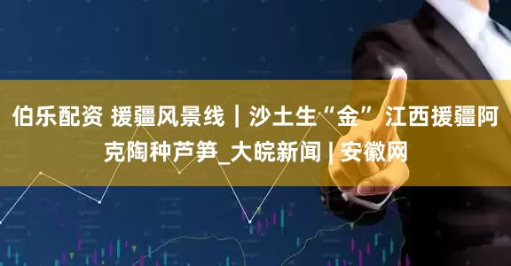 伯乐配资 援疆风景线｜沙土生“金” 江西援疆阿克陶种芦笋_大皖新闻 | 安徽网