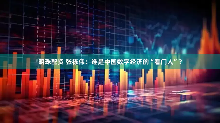 明珠配资 张栋伟：谁是中国数字经济的“看门人”？