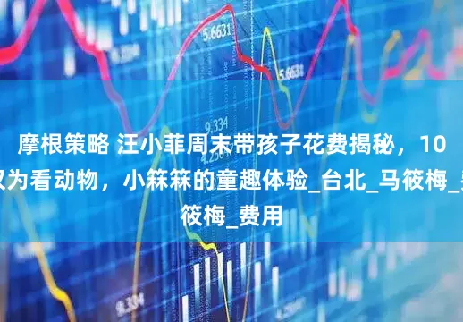 摩根策略 汪小菲周末带孩子花费揭秘，10万仅为看动物，小箖箖的童趣体验_台北_马筱梅_费用
