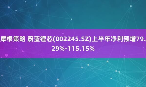 摩根策略 蔚蓝锂芯(002245.SZ)上半年净利预增79.29%-115.15%