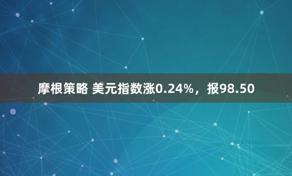 摩根策略 美元指数涨0.24%，报98.50