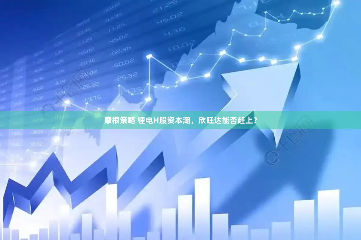 摩根策略 锂电H股资本潮，欣旺达能否赶上？