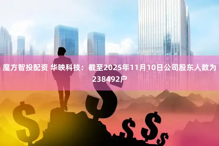 魔方智投配资 华映科技：截至2025年11月10日公司股东人数为238492户