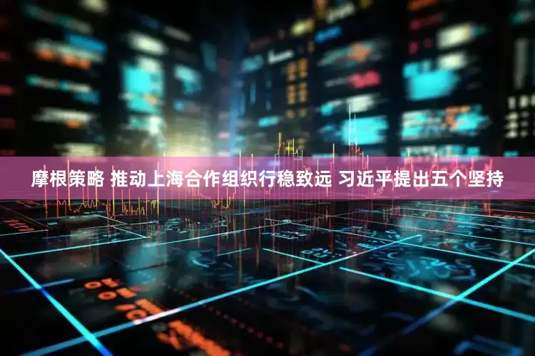 摩根策略 推动上海合作组织行稳致远 习近平提出五个坚持