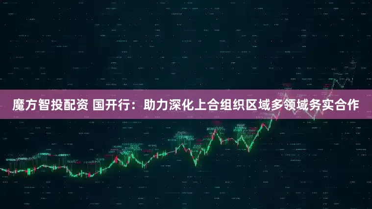 魔方智投配资 国开行：助力深化上合组织区域多领域务实合作